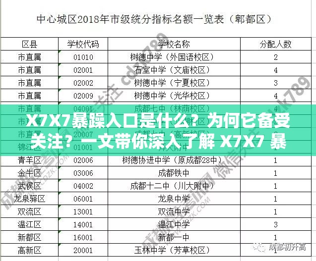 X7X7暴躁入口是什么？为何它备受关注？一文带你深入了解 X7X7 暴躁入口