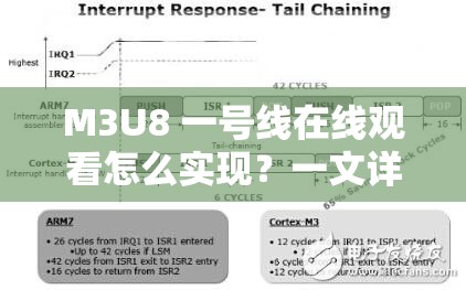 M3U8 一号线在线观看怎么实现？一文详解其观看方法与技巧或者：想知道 M3U8 一号线在线观看的具体方式？快来这里找答案