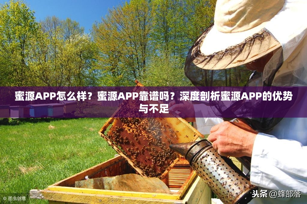 蜜源APP怎么样？蜜源APP靠谱吗？深度剖析蜜源APP的优势与不足