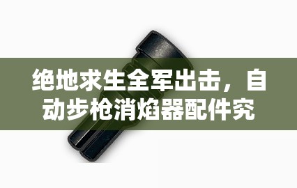 绝地求生全军出击，自动步枪消焰器配件究竟有何神秘之处？