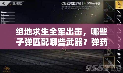 绝地求生全军出击，哪些子弹匹配哪些武器？弹药大全揭秘！