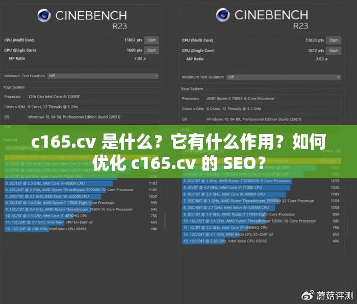 c165.cv 是什么？它有什么作用？如何优化 c165.cv 的 SEO？