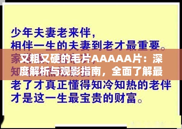 又粗又硬的毛片AAAAA片：深度解析与观影指南，全面了解最新热门影片推荐与详细点评