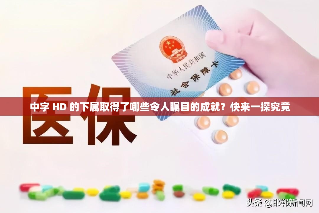 中字 HD 的下属取得了哪些令人瞩目的成就？快来一探究竟