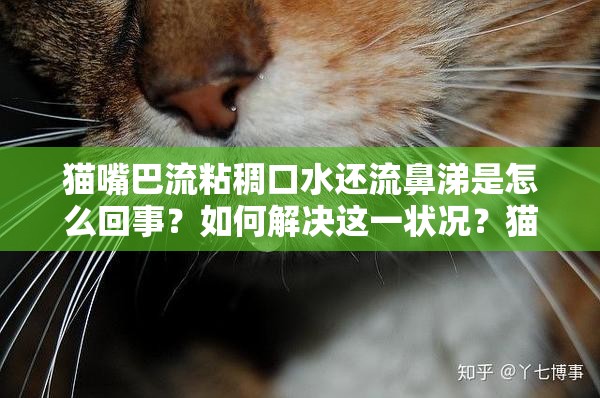 猫嘴巴流粘稠口水还流鼻涕是怎么回事？如何解决这一状况？猫嘴巴流粘稠的口水且流鼻涕，是生病了吗？原因及应对方法猫嘴巴流粘稠口水、流鼻涕，究竟是什么导致？怎样才能康复？