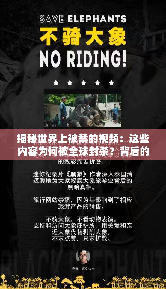 揭秘世界上被禁的视频：这些内容为何被全球封杀？背后的真相令人震惊