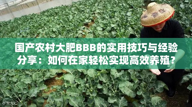 国产农村大肥BBB的实用技巧与经验分享：如何在家轻松实现高效养殖？