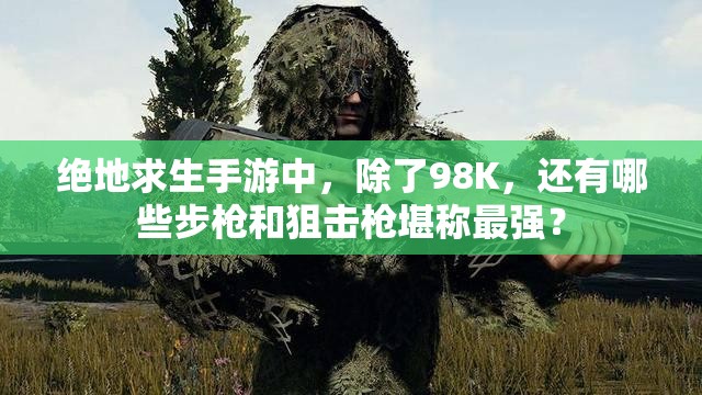 绝地求生手游中，除了98K，还有哪些步枪和狙击枪堪称最强？