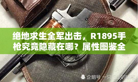 绝地求生全军出击，R1895手枪究竟隐藏在哪？属性图鉴全攻略！