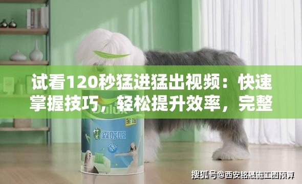 试看120秒猛进猛出视频：快速掌握技巧，轻松提升效率，完整解析每一步操作