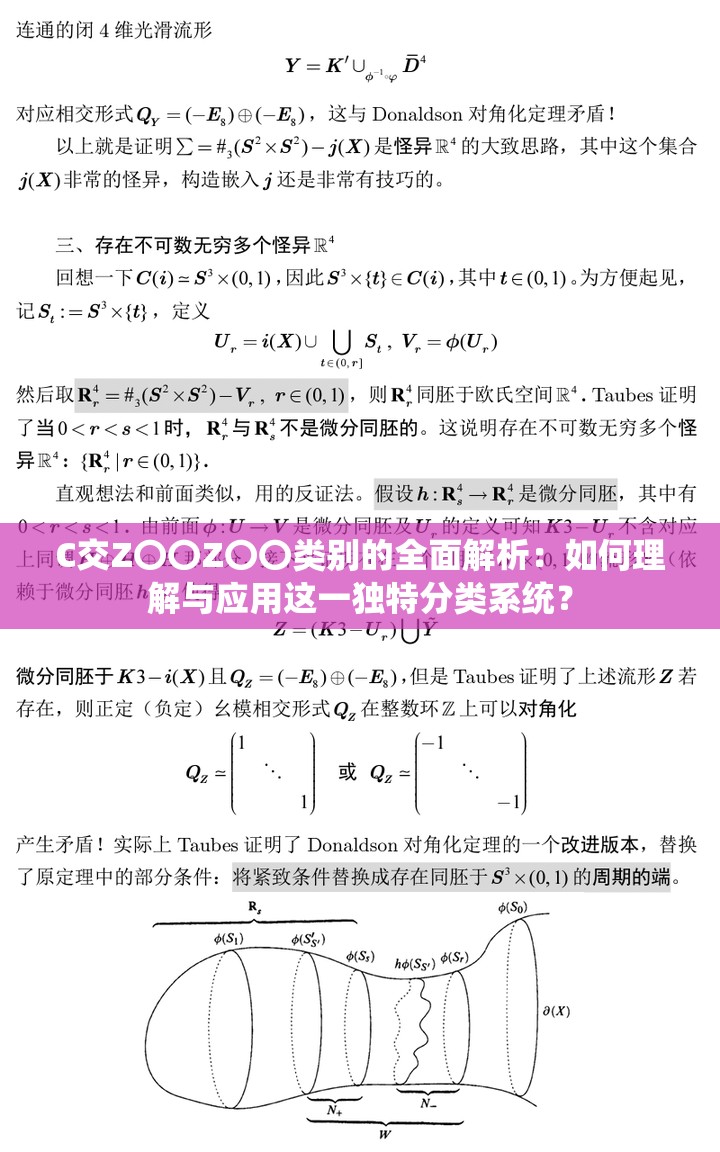 C交Z〇〇Z〇〇类别的全面解析：如何理解与应用这一独特分类系统？