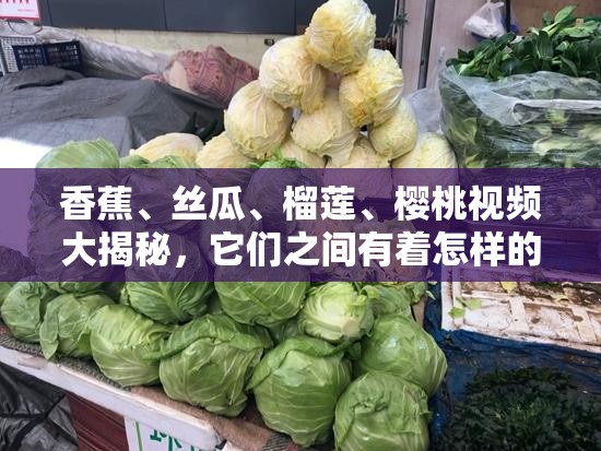 香蕉、丝瓜、榴莲、樱桃视频大揭秘，它们之间有着怎样的独特联系？