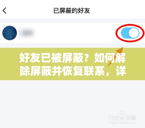 好友已被屏蔽？如何解除屏蔽并恢复联系，详细步骤与注意事项全解析