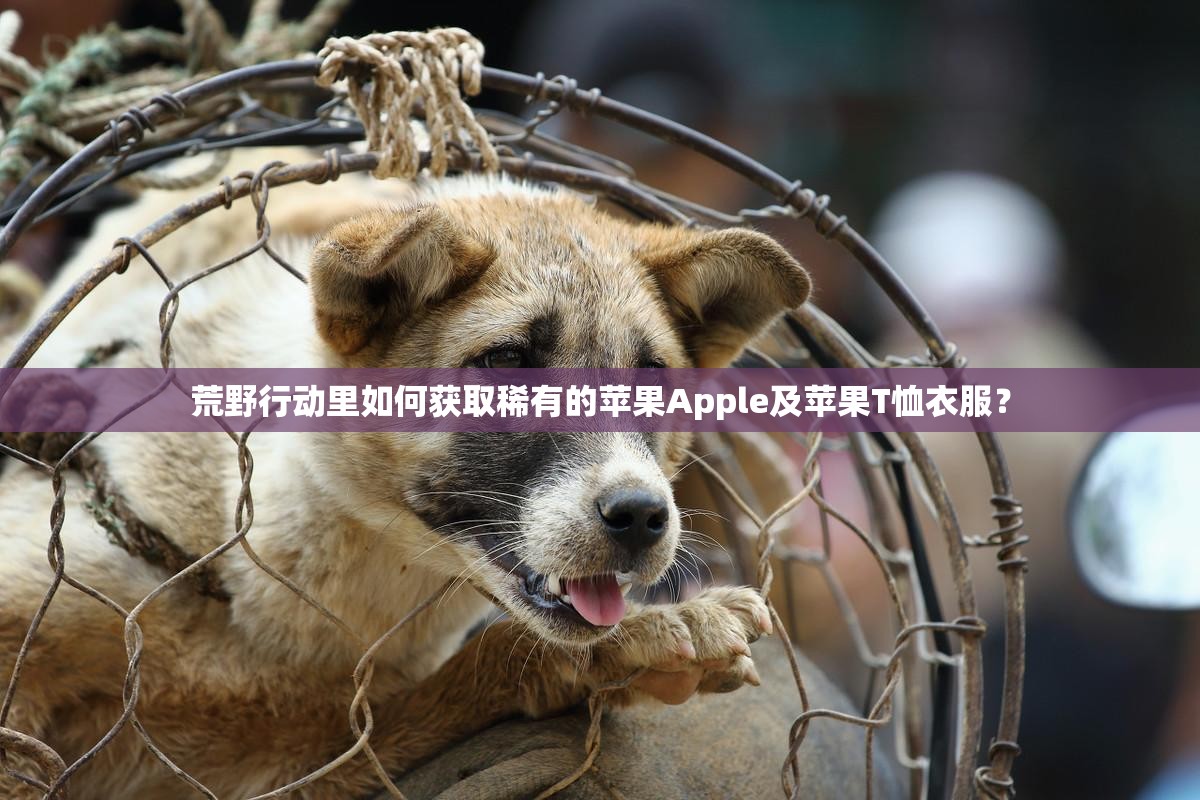 荒野行动里如何获取稀有的苹果Apple及苹果T恤衣服？