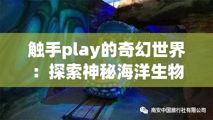 触手play的奇幻世界：探索神秘海洋生物的奇妙互动与趣味玩法大揭秘