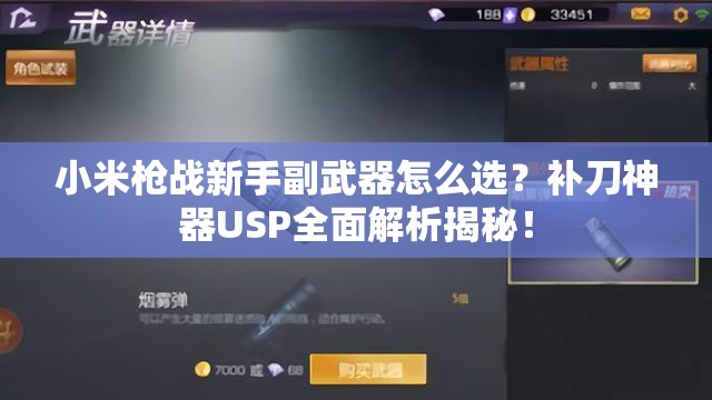 小米枪战新手副武器怎么选？补刀神器USP全面解析揭秘！