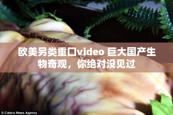 欧美另类重囗video 巨大国产生物奇观，你绝对没见过