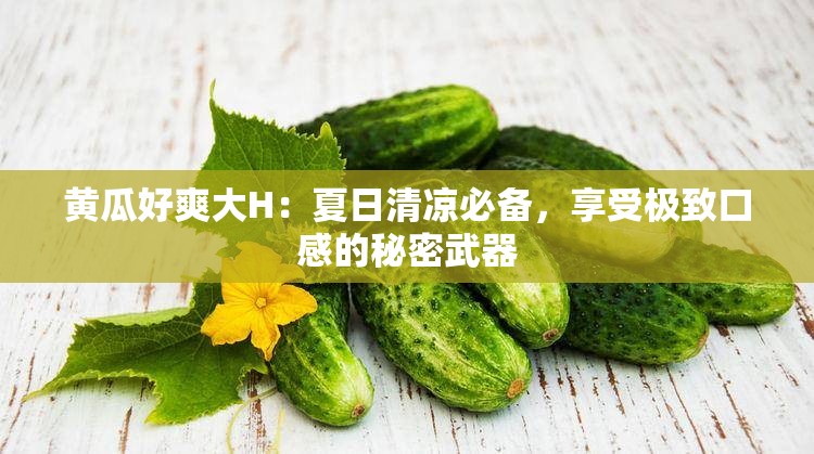 黄瓜好爽大H：夏日清凉必备，享受极致口感的秘密武器