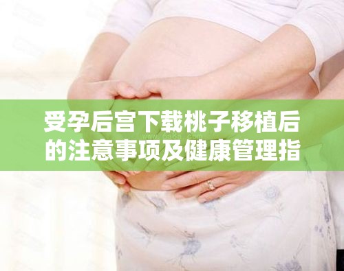 受孕后宫下载桃子移植后的注意事项及健康管理指南：全面解析孕期护理与营养补充