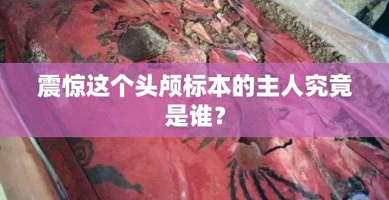 震惊这个头颅标本的主人究竟是谁？