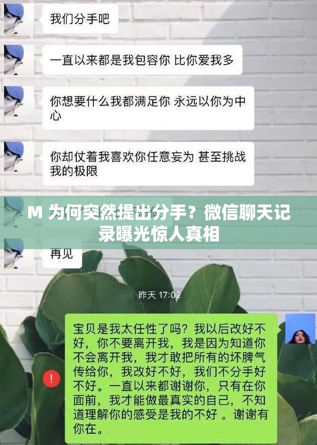 M 为何突然提出分手？微信聊天记录曝光惊人真相