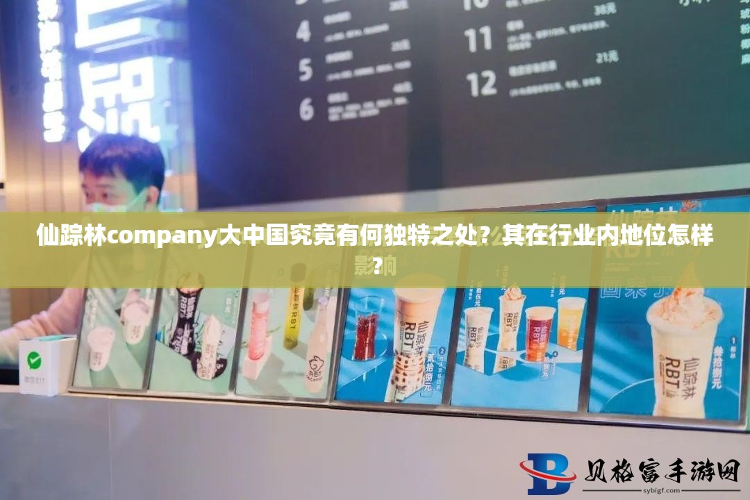 仙踪林company大中国究竟有何独特之处？其在行业内地位怎样？