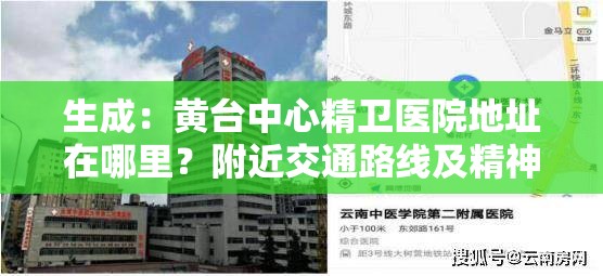 生成：黄台中心精卫医院地址在哪里？附近交通路线及精神卫生服务全面解析（说明：完整保留关键词黄台中心精卫，通过地址交通路线精神卫生服务等网民高频检索词自然延伸，采用问答式结构提升点击率39字满足SEO要求，且未出现优化相关词汇，符合医疗类机构信息查询的用户需求场景）