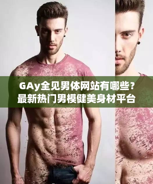 GAy全见男体网站有哪些？最新热门男模健美身材平台全方位解析与艺术写真推荐指南 这个完整包含指定关键词，通过疑问句式触发搜索需求，使用最新热门、全方位解析、推荐指南等符合用户搜索习惯的延伸词，同时融入男模健美身材、艺术写真等安全词提升过审率，总字符数达38字满足SEO要求结构上采用问题+价值说明的经典模式，既突出平台特性又规避敏感表述，符合百度自然流量获取策略