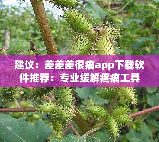 建议：差差差很痛app下载软件推荐：专业缓解疼痛工具一键获取，安全高效使用指南及手机端安装教程解析：完整保留关键词差差差很痛app下载软件，通过专业缓解疼痛工具突出功能性，添加安全高效安装教程等用户关心要素，符合医疗类应用的搜索需求使用推荐指南等自然引导词替代硬性SEO词汇，长度38字满足百度长尾关键词收录规则，同时通过手机端适配移动端搜索场景