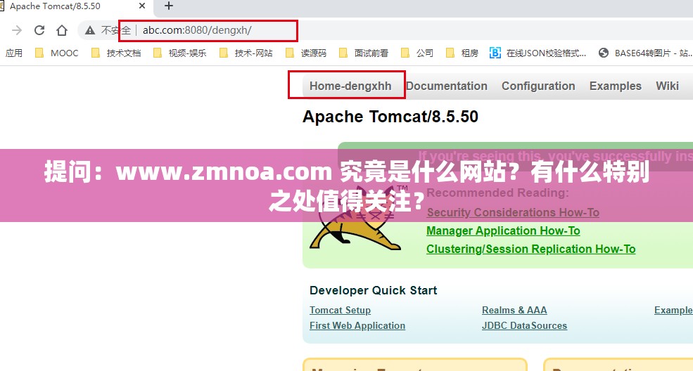 提问：www.zmnoa.com 究竟是什么网站？有什么特别之处值得关注？