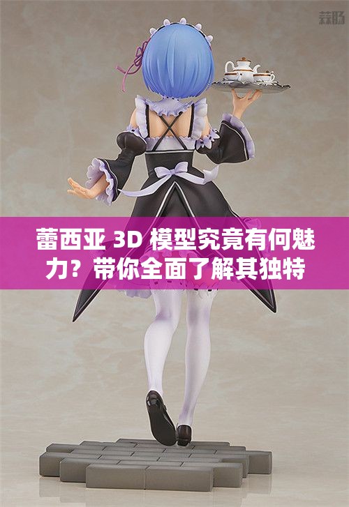 蕾西亚 3D 模型究竟有何魅力？带你全面了解其独特之处