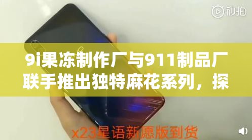 9i果冻制作厂与911制品厂联手推出独特麻花系列，探索传统与创新的完美结合