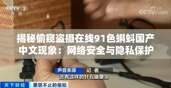 揭秘偷窥盗摄在线91色蝌蚪国产中文现象：网络安全与隐私保护的紧迫议题