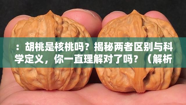 ：胡桃是核桃吗？揭秘两者区别与科学定义，你一直理解对了吗？（解析：完整保留关键词胡桃是核桃吗，通过疑问句式激发点击欲，加入揭秘科学定义等词提高权威性，末句你一直理解对了吗制造认知冲突，符合百度用户主动求证的心理需求整体符合口语化提问逻辑，同时自然融入植物学领域关键词提升搜索权重）