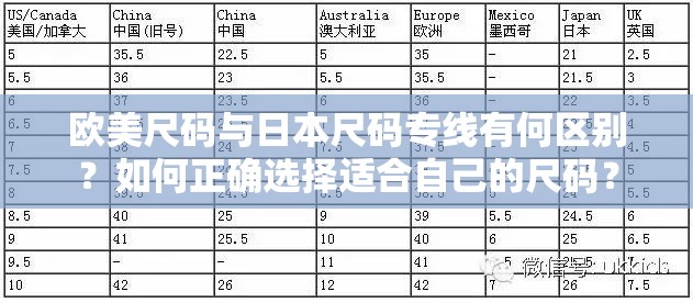 欧美尺码与日本尺码专线有何区别？如何正确选择适合自己的尺码？