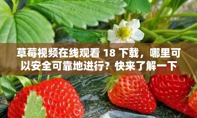 草莓视频在线观看 18 下载，哪里可以安全可靠地进行？快来了解一下