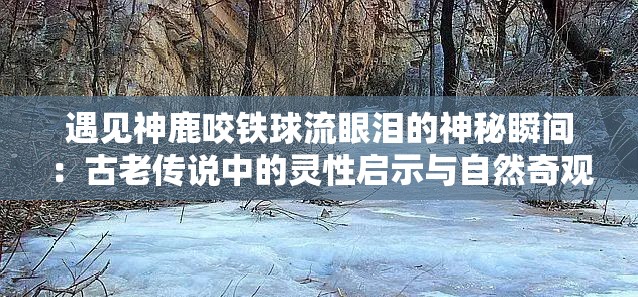 遇见神鹿咬铁球流眼泪的神秘瞬间：古老传说中的灵性启示与自然奇观