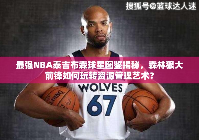 最强NBA泰吉布森球星图鉴揭秘，森林狼大前锋如何玩转资源管理艺术？