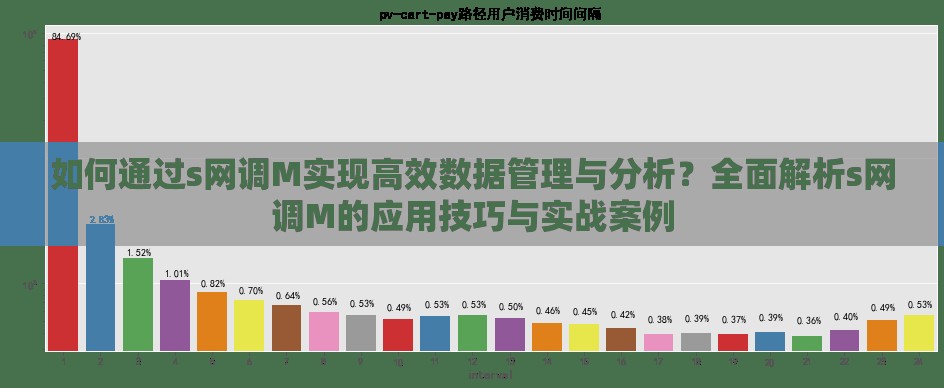 如何通过s网调M实现高效数据管理与分析？全面解析s网调M的应用技巧与实战案例