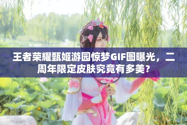 王者荣耀甄姬游园惊梦GIF图曝光，二周年限定皮肤究竟有多美？