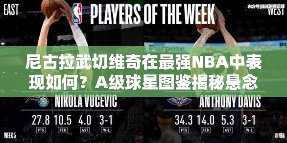 尼古拉武切维奇在最强NBA中表现如何？A级球星图鉴揭秘悬念！