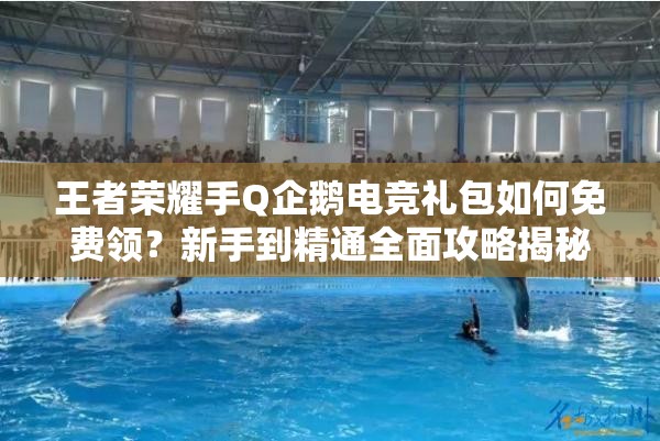 王者荣耀手Q企鹅电竞礼包如何免费领？新手到精通全面攻略揭秘！