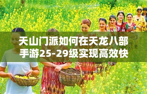 天山门派如何在天龙八部手游25-29级实现高效快速升级？