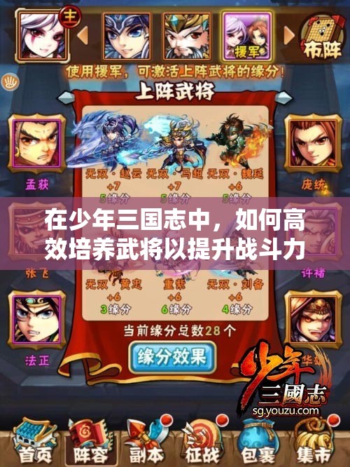 在少年三国志中，如何高效培养武将以提升战斗力？