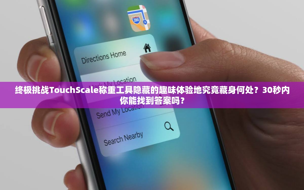 终极挑战TouchScale称重工具隐藏的趣味体验地究竟藏身何处？30秒内你能找到答案吗？